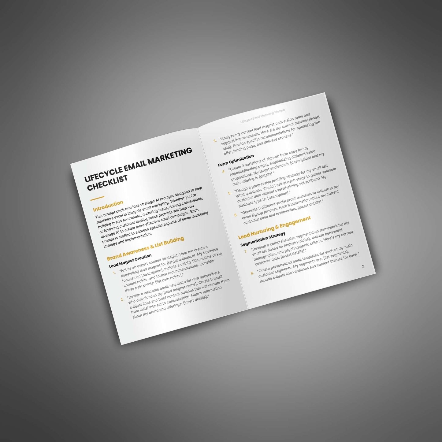 Lifecycle Email Marketing - Prompts