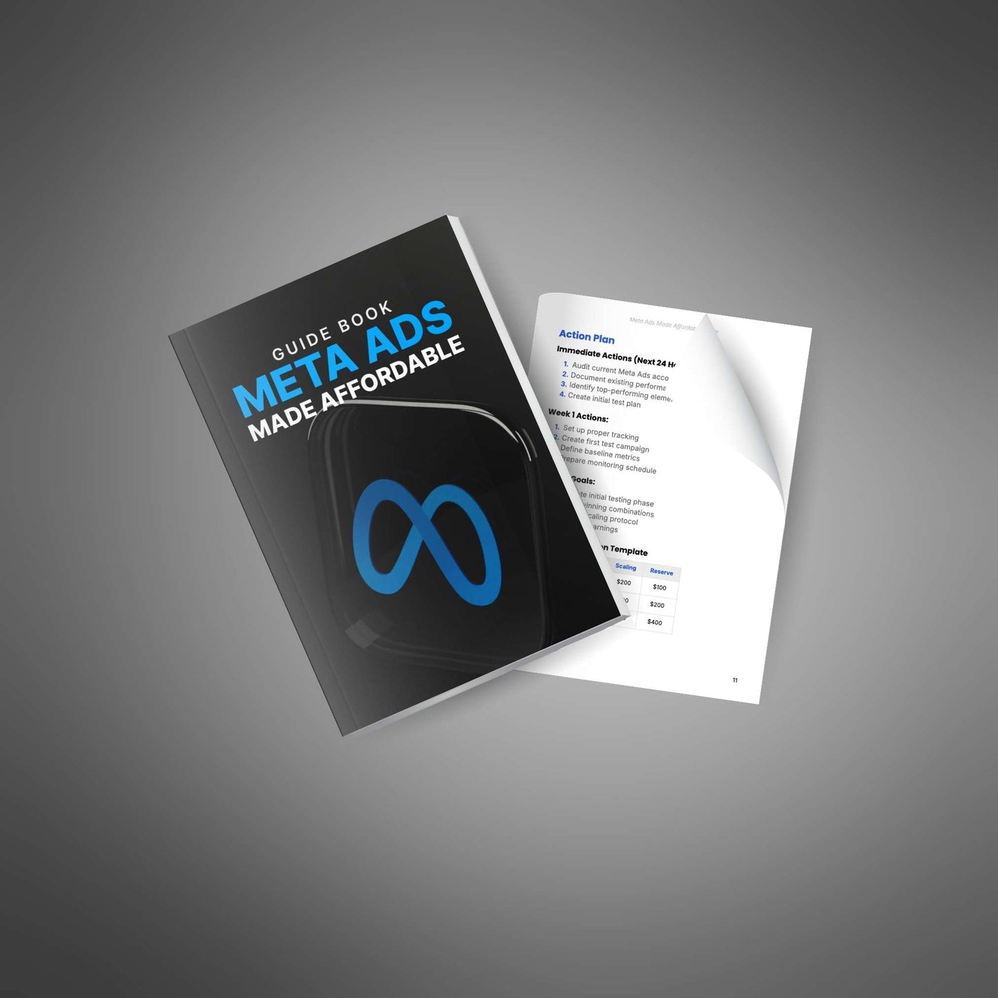 Meta Ads Made Affordable - Workbook
